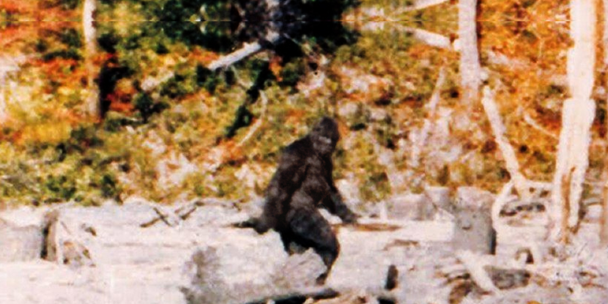 Mississippi Skunk Ape - SHOW ME BIGFOOT